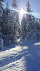 Tack Bäckströms Trafik och Ski-Shopen för att ni möjliggjorde vår Alla-på-snö-dag för åk4! Boka era aktiviteter på isbanan. Värmestugan är på plats med toalett och kamin SAevent. www.saevent.