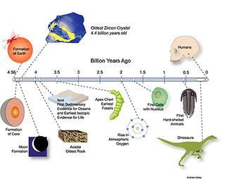 Biologi