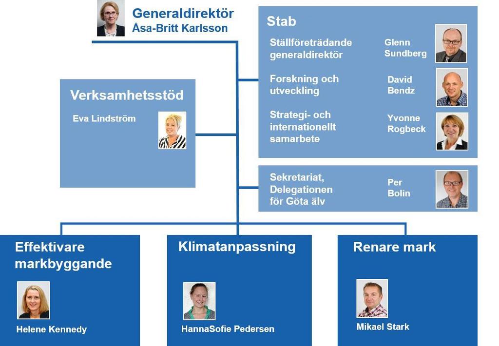 Bild 1: Organisationen 2018-12-31. SGI leds av generaldirektören.
