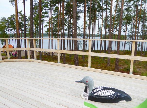 mycket folk. Prins Alexanders utsiktsplats ligger i Nynäs naturreservat.