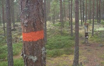 Det känns så fint och lyxigt med detta lilla extra som grillbord, såg och yxa, grilltång, upphängningskrokar m.m. Nu ska vi använda räfsan innan vi vandrar vidare.