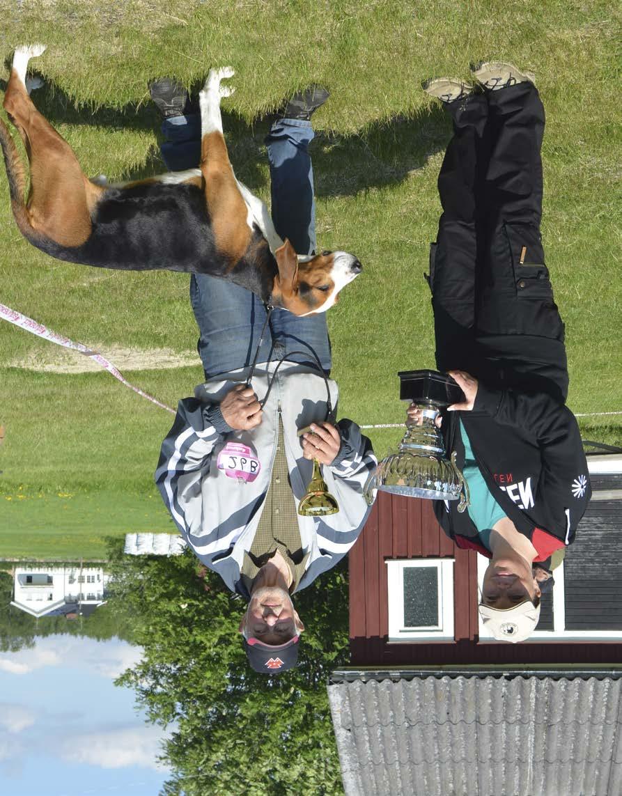Utställning Norrbottens Läns stövarklubb Plats: Råneå 2013-06-08