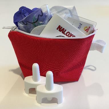 UPPDRAG Hälso- och sjukvårdsdirektören får i uppdrag att snarast påbörja ett försöksprojekt i form av en klinisk studie med naloxon som nässpray. Pilotprojektet ska pågå under tre års tid.