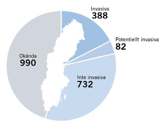 Invasiva främmande arter i Sverige Uppdrag till ArtDatabanken 2016-2018 Nationell lista över riskklassificerade invasiva
