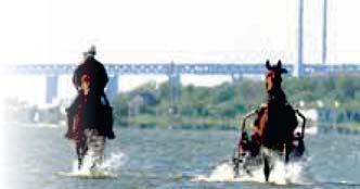 JÄGERSRO GALOPP Tävlingarna arrangeras av Skånska FältrittklubbenSvensk Galopp www.svenskgalopp.se e-post info@svenskgalopp.se Adress Jägersro Galopp, Box 90, 00 9 Malmö Öppettider Mån-fre 8.00-.00,.
