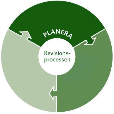 Revisionsprocessen - Planera Riskanalys Dra slutsatser,