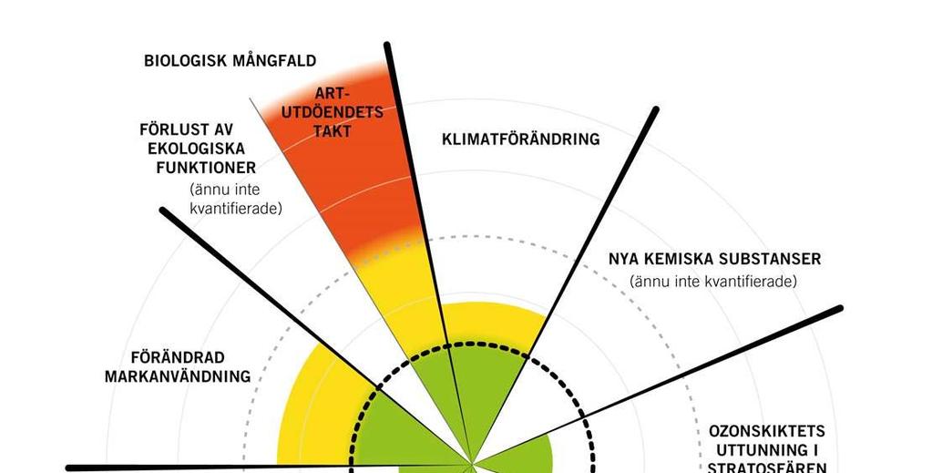 Staden och naturen Urbanisering