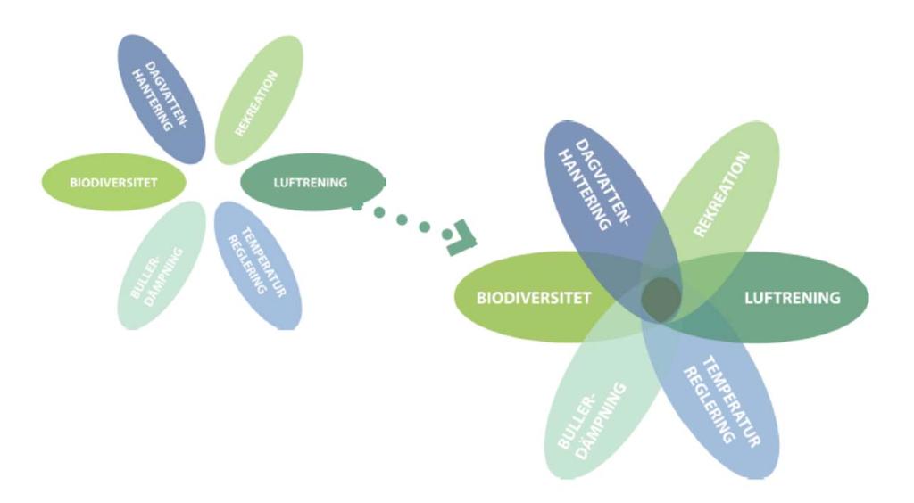 Grönytefaktor - ekosystemtjänster Klimatanpassning Rekreation