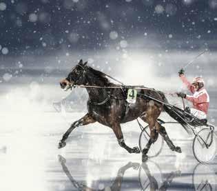 UMÅKERS A-TRÄNARE ROBERT DUNDER 070-344 00 82 MIKA HAAPAKANGAS 076-140 49 90 SÖREN LENNARTSON 070-640 63 20 GUNILLA OSCARSSON 070-560 00 38 Tävlingsprogram 2018 DECEMBER 2017 12 tisdag 25 måndag