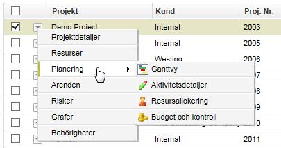 Nytt projekt Kopiera Ta bort Massuppdatering Uppdatera skärm Export Kolumnval Sortering Nytt Projekt skapar ett nytt projekt.