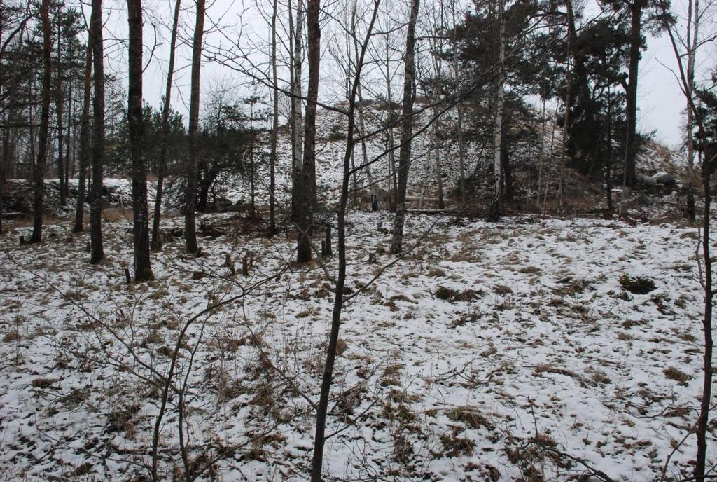 Husgrunden efter torpet Gungviken skymtar mellan den bortre