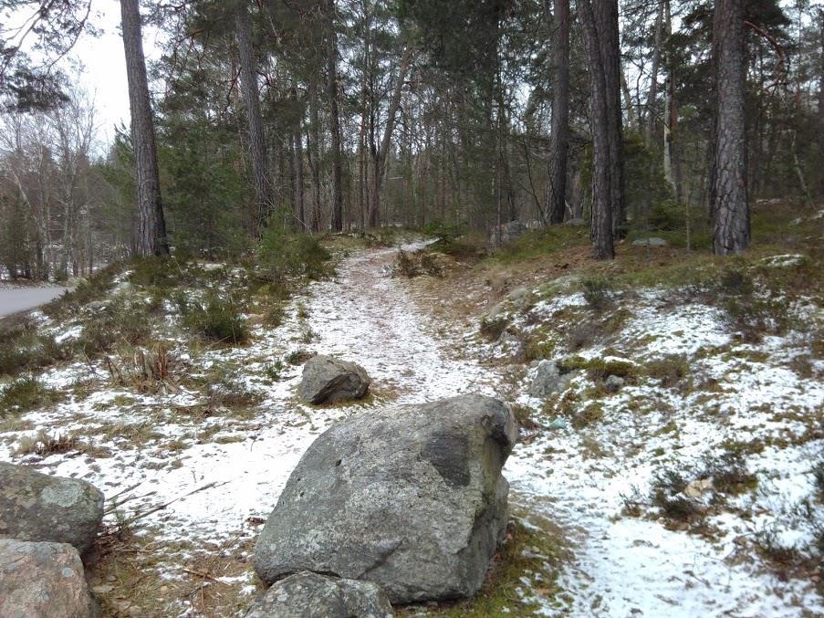 Figur 17. Vägen mot Gungviken från gamla Saltsjöbadsvägen.