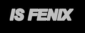 IS FENIX Version 00 FENIX 00 är ett interimssystem i väntan på utvecklingen av markstridskrafternas IS FENIX IS omfattar såväl programvaror som nätverk med servrar och klientdatorer FENIX bygger på