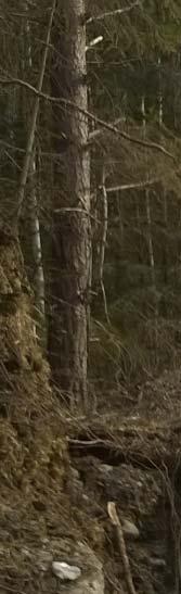 FCG SUUNNITTELU JA TEKNIIKKA OY MILJÖKONSEKVENSBESKRIVNING 16 (232) 7,5 km. Byggnadslov för 1100 kv kabeln (Energimarknadsverket).