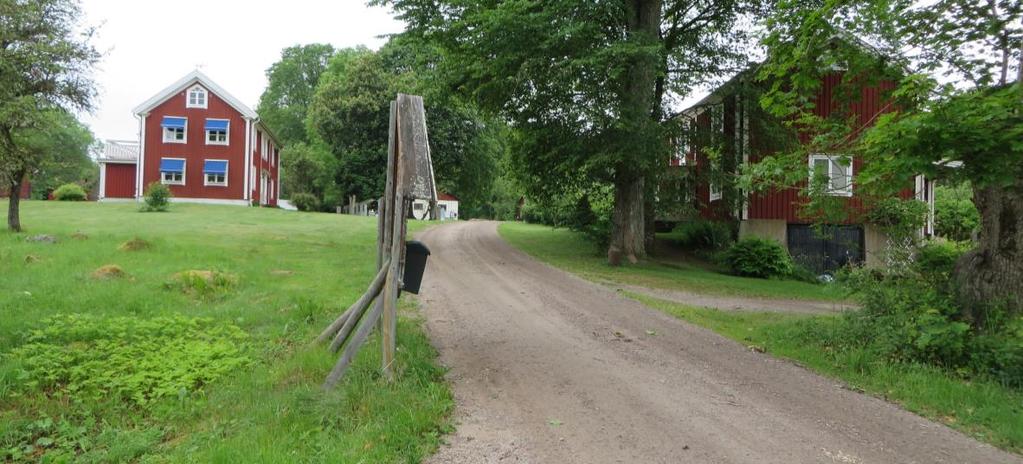 viktiga för upplevelsen och förståelsen av