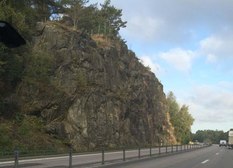 Landskapsbild Gles blandlövskog,