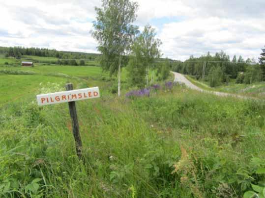 Bild 6. Skylt pilgrimsled, nr 5. Foto: Inga Blennå.