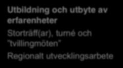 förankring Bilda styrgrupp Forma arbetsgrupper regionalt och centralt samt dela in