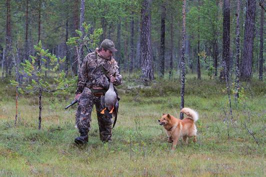 6 6 7 Använd hund Använd hund till hjälp vid jakt alltid då det är