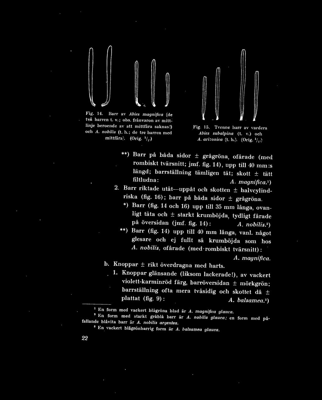 Uust3arden Sbjpl Ik Eeeem Arsskrift1924 Dendrologiochrarkvwrd Ft L I Vin U C 1 Ssral Jv Flggf Lwae Tamj Y V Pdf Gratis Nedladdning