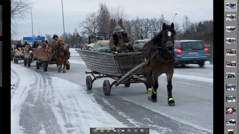 När du hittar en bild som du vill ta med i projektet så drar och släpper du den på ikonen för Albumet 365 dagar. Vill du återgå till flerbildsläge drar du reglaget för miniatyrbildsstorlek åt vänster.