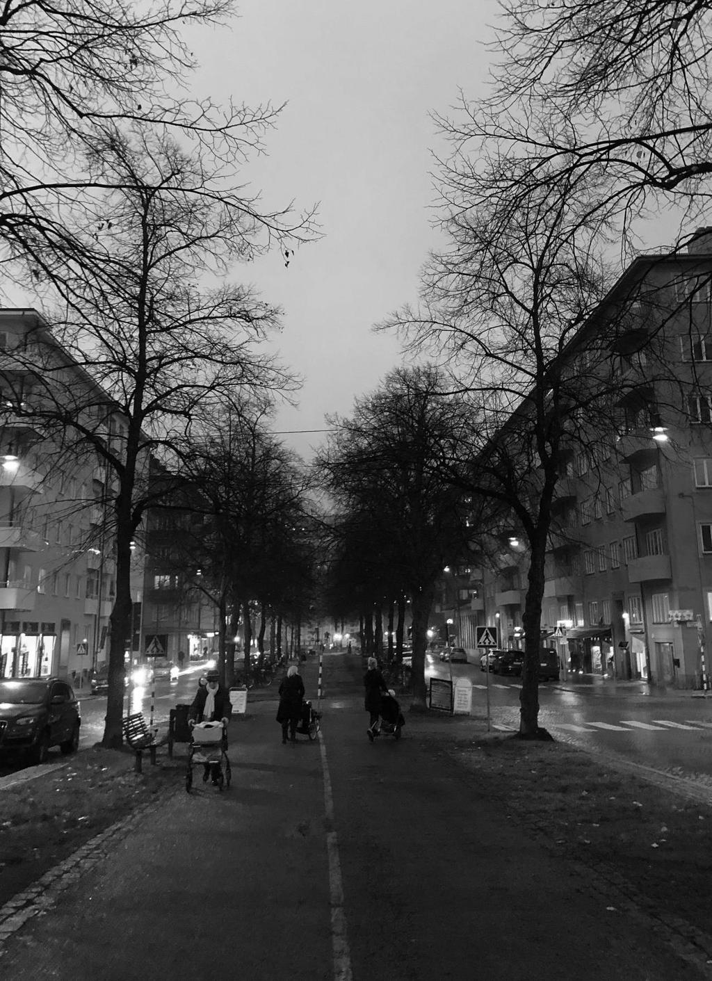 VINTER 2018/2019 Årgång