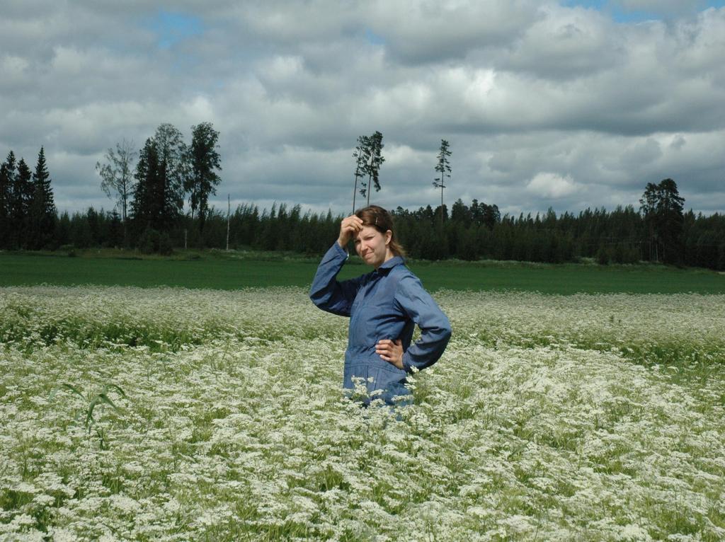 Hur får man ett blommande