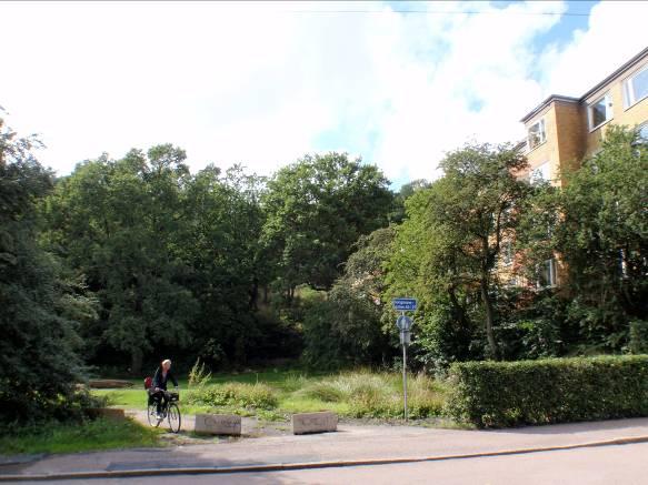 Slottsskogen.