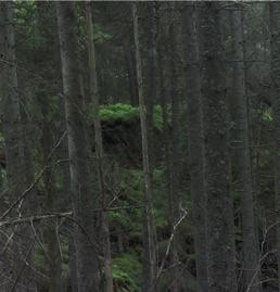 och de 17 hållbarhetsmålen.