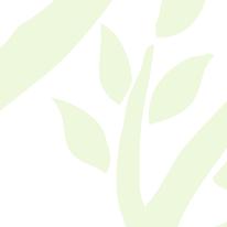 hållbarhetsstrategi och prioriteringar det kommande året. Frågorna diskuteras i Sveaskogs hållbarhetsråd och i företagsledningen. n.