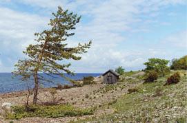 mark med lägre naturvärden för att på så vis alltid höja kvaliteten i de avsatta skogarna.