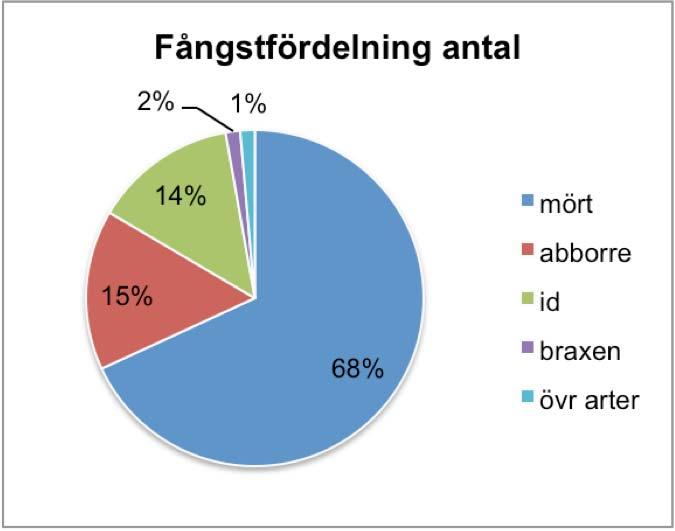 Antal (fångst per ansträngning) och vikt (vikt per ansträngning) var högst på de övre sträckorna (9-12) och sjönk succesivt längre ner i ån med lägst vikt på de nedre sträckorna (tabell 2, figur 4,