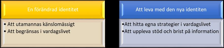 5 RESULTAT Syftet var att beskriva patienters erfarenheter av att leva med en stomi.