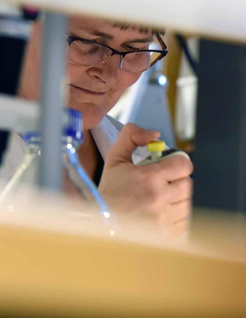 Fokus för vårt utvecklingsarbete under 2018 kommer helt naturligt ligga på epilepsiprojektet CG01, men vi kommer också fortsatt arbeta med