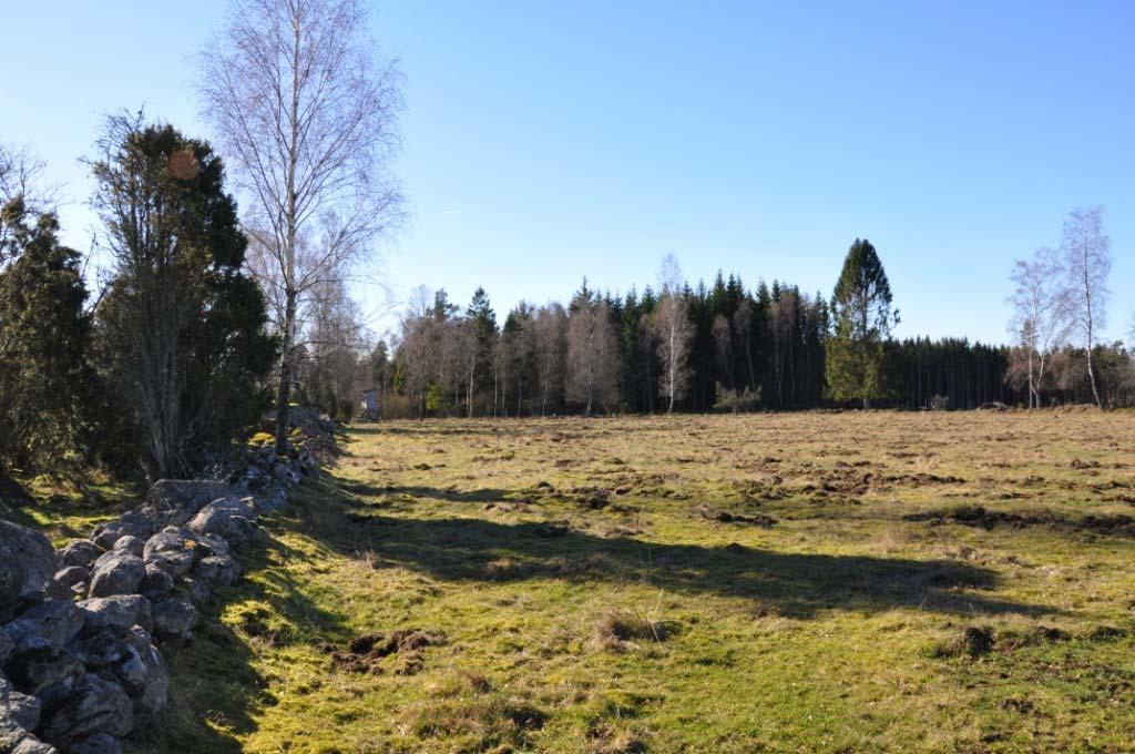 Skogsfastighet 24 ha syd Hässleholm Byggnadsfri skogsfastighet i Lunnahöja söder om Hässleholm. 18 ha produktiv skog i ett rektangulärt skifte med virkesförråd om ca 1 100 m³sk.