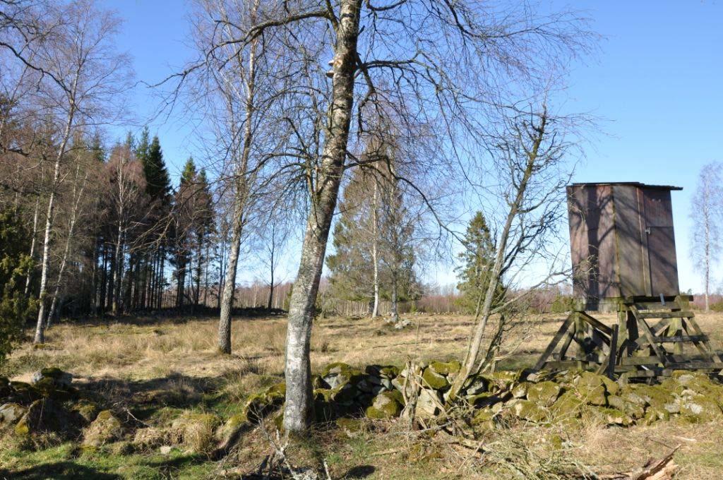 Skog Fastigheten består av 18 ha produktiv skogsmark enligt bilagd skogsbruksplan från hösten 2018 (Mats Rufelt, firma BokSkog). Virkesförråd ca 1 100 m³sk bestående av bl.