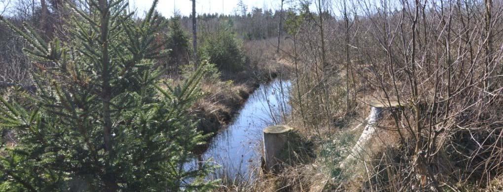 Rättsförhållanden Fastighet Fastighetsbeteckning, är belägen i Hässleholm kommun, Norra Mellby församling.