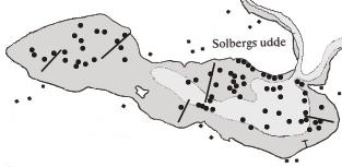 vegetation, epifauna, sediment och bottenfauna KC2 KC1 KC4 KC5 KS1 1 KS2KP5 KS5 KS3 2 KS4 KP2