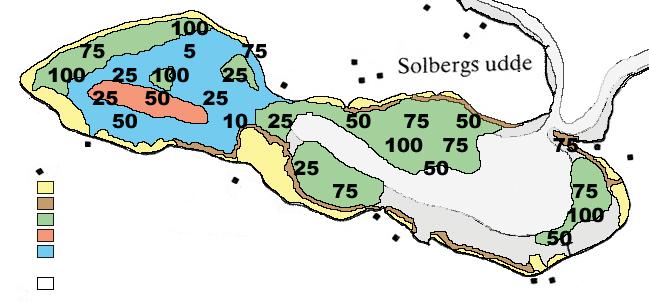 2 Blå stång (fast el ler lös) Borst na te Kransalger Hårsärv <5% vegetation 29 Vegetationens sammansättning har varierat under årens lopp.