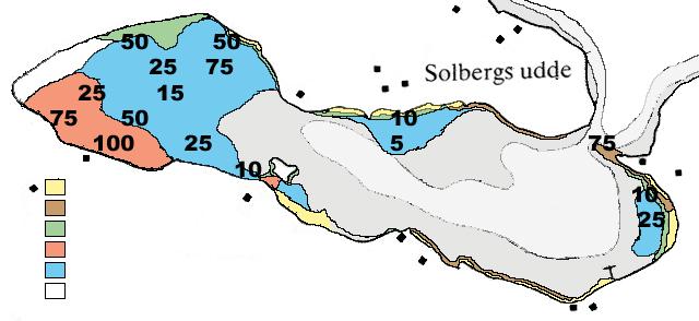 1999 23 Blå stång (fast el ler lös) Borst na te Kransalger Hårsärv <5% vegetation 2 Blå stång (fast el ler lös) Borst na te Kransalger Hårsärv <5% vegetation 24 Blå stång (fast el ler lös) Borst na