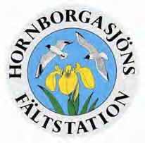 nr 49 från Hornborgasjöns