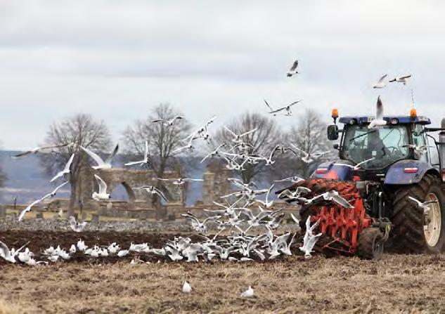 Det fanns ett gammalt mått bland bönderna här på Falbygden att de lämpligaste sådagarna är den 8 1 maj, men det var länge sedan. Som regel startar vårbruket numera senast i mitten av april. Figur 2.