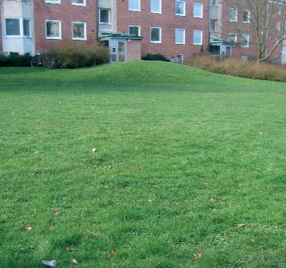 Bruksgräsmatta Betecknar gräsytor som primärt är avsedda för och som ska tåla att användas för vistelse, lek, bollspel m.m. De ska ha ett vårdat utseende.