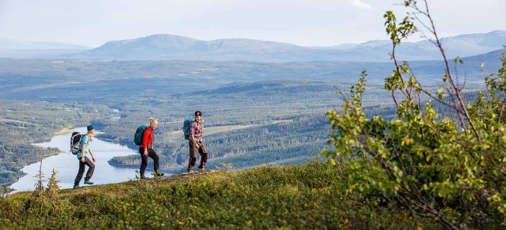 ÅRE HAMRE Byggrätt Byggrätten är på totalt cirka 12 000 kvadratmeter bruttoarea, och medger en byggnation, i ett full utbyggt förslag, på cirka 120 180 bostäder beroende på storleken på lägenheterna.