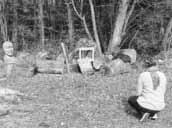Wipfeld -