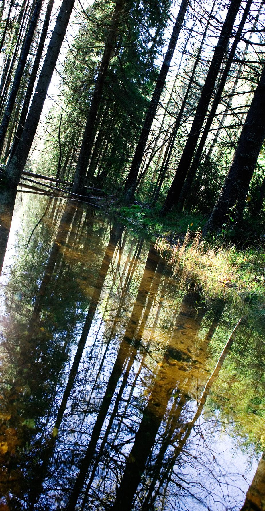 LÖVGÄRDET Lövgärdets träffpunkt Lövgärdets träffpunkt ligger i Lövgärdets centrum nära naturområdet Vättlefjäll. Träffpunkten har fokus på hantverk och kreativa aktiviteter.