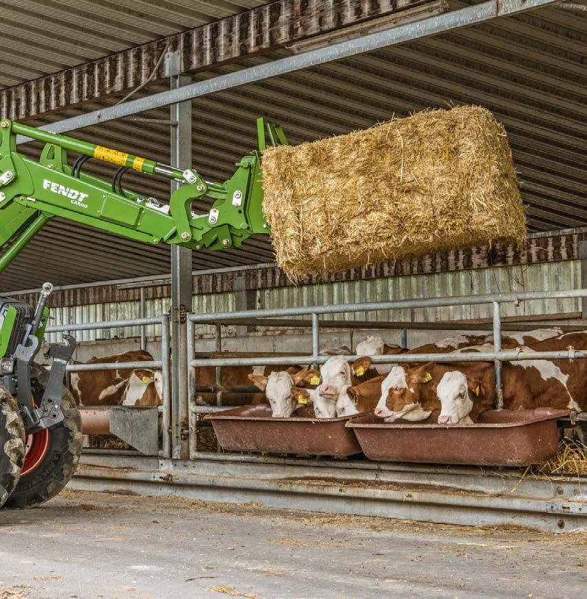 Beroende på tillämpninsområde erbjuder Fendt 200 Vario funktioner som tillodoser dina behov på vallen, i alpina miljöer, i växtodlin, för