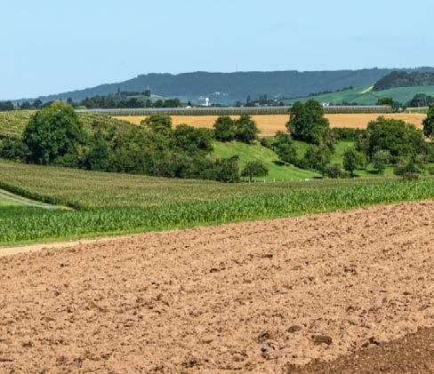 Flexibel, kompakt, effektiv Fendt 200 Vario Profi är en kompakt standardtraktor som ör din