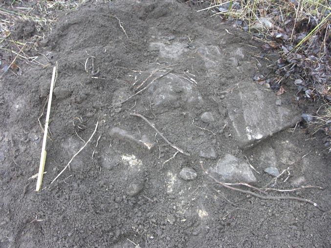 Fig. 13. Stenpackningen. Foto: M. Lönn. Tabell 3. Schakttabell för RAÄ 87 Id Art Beskrivning 214 Schakt Litet schakt, ca 0,6 0,6 m upptaget för hand. Matjorden ca 0,05 0,15 m tjock.