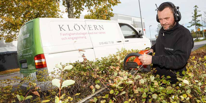 HÅLLBARHET Miljö 79 MILJÖ Klöverns ambitioner för miljöarbetet är höga.